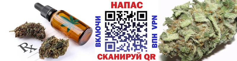 Купить закладки  Сураж  Cannafood конопля 