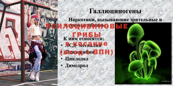 ПСИЛОЦИБИНОВЫЕ ГРИБЫ Надым