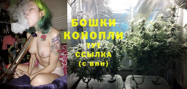 ПСИЛОЦИБИНОВЫЕ ГРИБЫ Надым