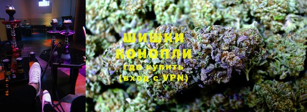 ПСИЛОЦИБИНОВЫЕ ГРИБЫ Надым