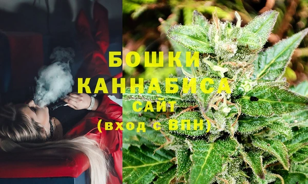 шишки Наволоки