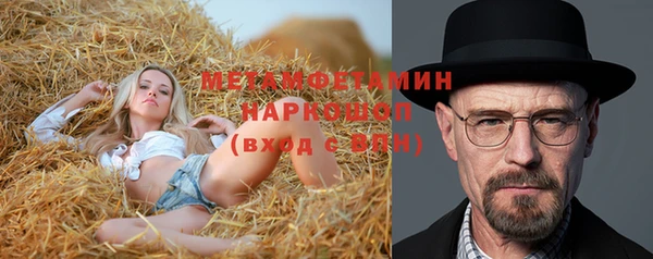 шишки Наволоки