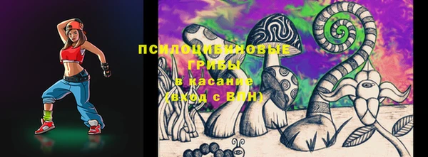 шишки Наволоки