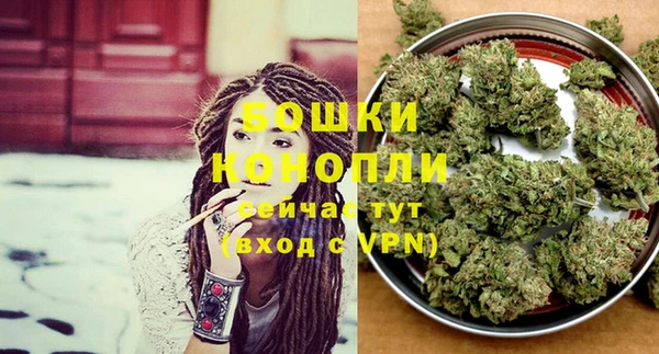 ПСИЛОЦИБИНОВЫЕ ГРИБЫ Надым