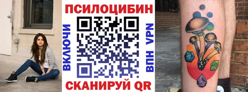 Галлюциногенные грибы Cubensis Сураж